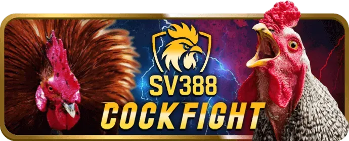 Khuyến mãi và hoàn trả cao của vclub login
